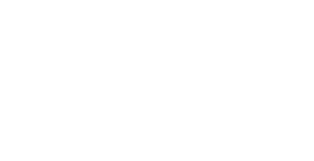 LAAS CNRS