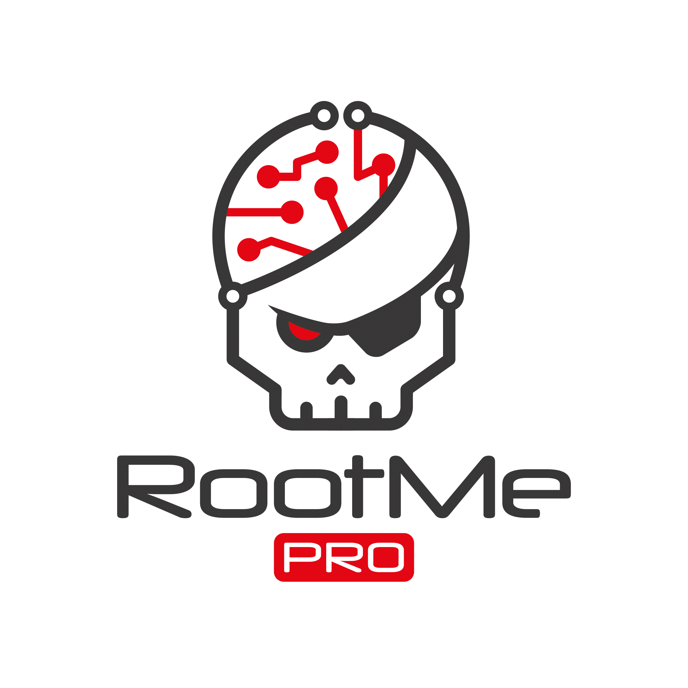 Root-Me Pro