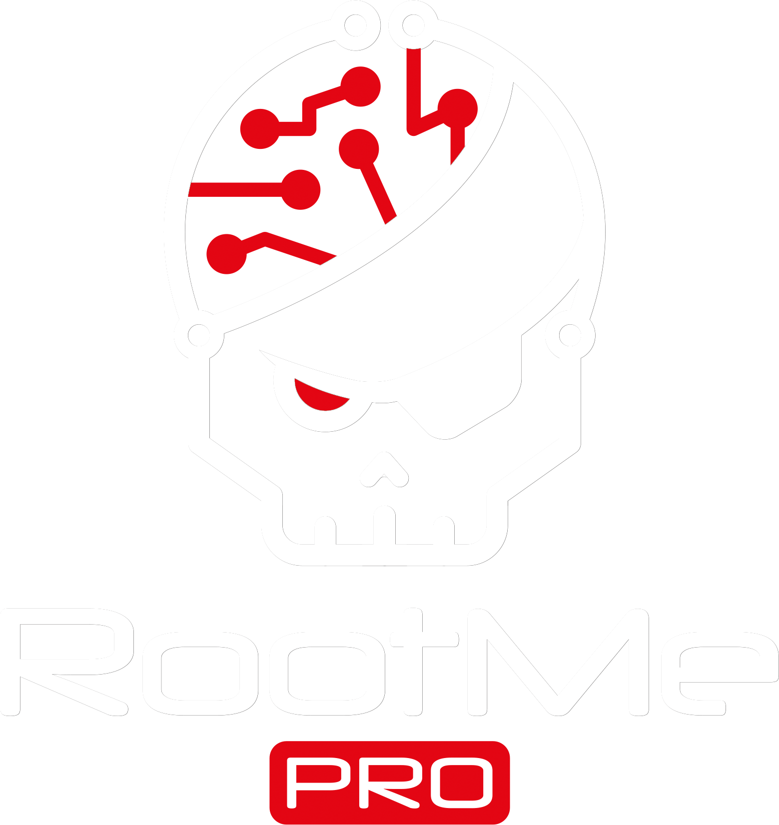 Root-Me Pro